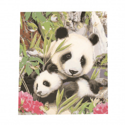 Set tablou cu numere 40x50 cm - Pandas Ms7233