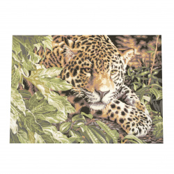Σετ ζωγραφικής με αριθμούς 40x50 cm - Leopard Ms8023