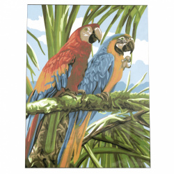 Paint by Numbers Kit, 40x50 cm - Colorful Parrots Ms9196