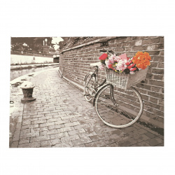 Σετ ζωγραφικής με αριθμούς 40x50 cm - πέτρινος δρόμος με ποδήλατο  Ms9747