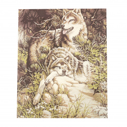 Σετ ζωγραφικής με αριθμούς 40x50 cm - Wolves MS9796