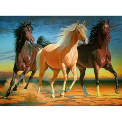 Σετ ζωγραφικής με αριθμούς 40x50 cm - Άλογα σε αγώνα BFB0758