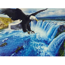 Set tablou cu numere 40x50 cm - Ochi de vultur BFB0906