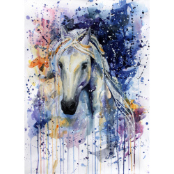 DIY Paint by Number Kit / 30x40 cm - Arabian Horse, BFB0310