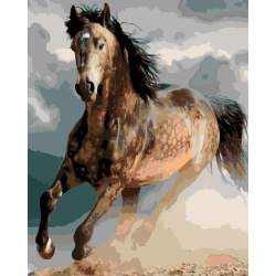 Paint by Numbers Kit / 30x40 cm - Wild Mustang, BFB0865