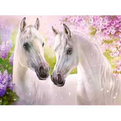 Σετ ζωγραφικής με αριθμούς  40x50 cm - Λευκά άλογα BFB1001
