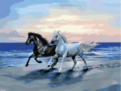 Σετ ζωγραφικής με αριθμούς 30x40 cm- Άλογα στην παραλία -7577