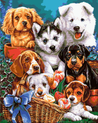 DIY Paint By Numbers Kit / 30x40 cm / with Pre-printed Canvas / Dogs & Puppies Selfie / 7673