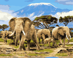 Σετ ζωγραφικής με αριθμούς 40x50 cm - Ελέφαντες Ms9578