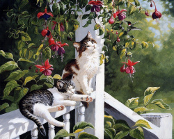 DIY Diamond Painting Kit with Cats / 30x40cm / Round Crystals / Full Drill with Frame - Kittens relaxing in a sunny day YSG3472