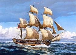 Πίνακας με ψηφίδες (στρόγγυλες) 40x50 cm πλήρης κόλληση με τελάρο -Το ταξίδι του λευκού πλοίου YSG3067