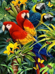 Diamond Painting Kit with Colorful Parrots, 40x50cm, Round Rhinestones, Full Drill Diamond Embroidery with Frame - Parrots YSG3775