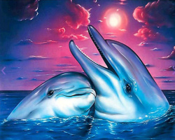 Комплект рисуване по номера 40x50 см -Нощни делфини BFB1299