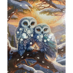 Mystical Diamond Painting 40x50 cm with Round Diamonds – Full Drill Owls of Twilight Design with Elegant Frame BYX4515