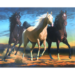 Комплект рисуване по номера 30x40 см -Коне в надпревара - KTL3431