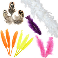 Feathers for Decoration, Weddings, Crafts